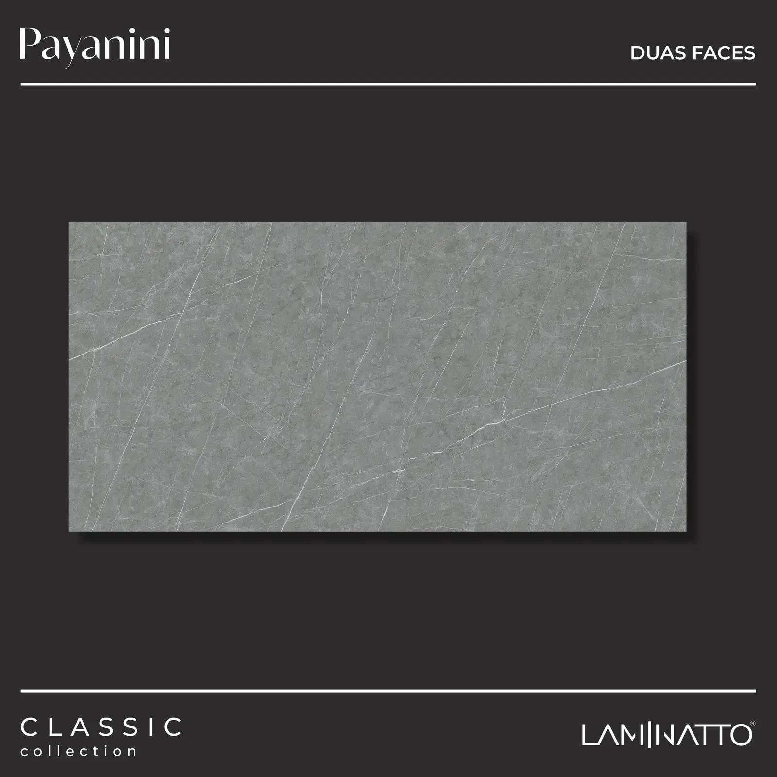 Payanini